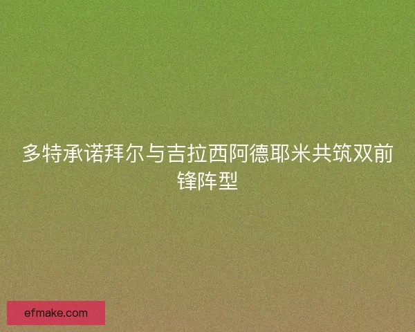 多特承诺拜尔与吉拉西阿德耶米共筑双前锋阵型
